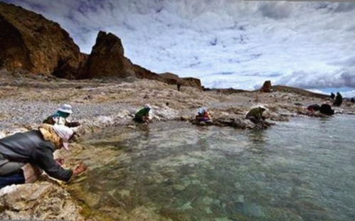 张一山娱乐吃瓜引发热议，网友关注真相背后细节